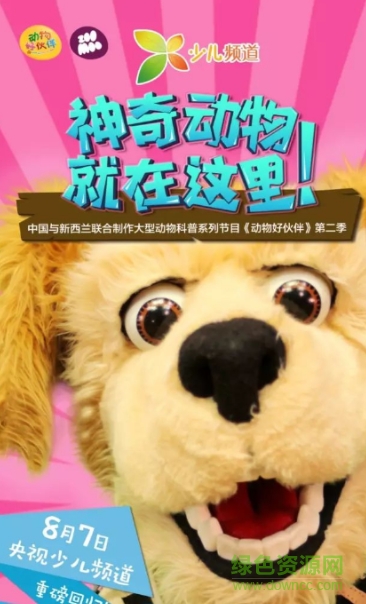 動物好伙伴第二季動畫片 完整版 1