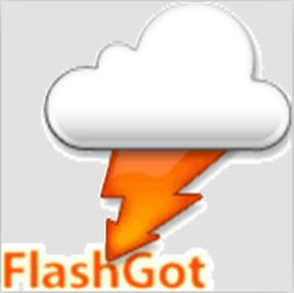 FlashGot(火狐下載工具)