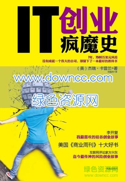 it創(chuàng)業(yè)瘋魔史pdf