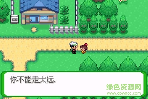 口袋妖怪空之花神 v2.2 安卓漢化版 0