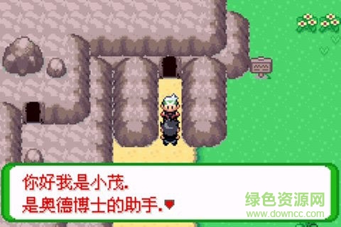 口袋妖怪空之花神 v2.2 安卓漢化版 1