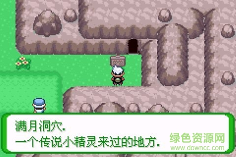 口袋妖怪花神全中文版