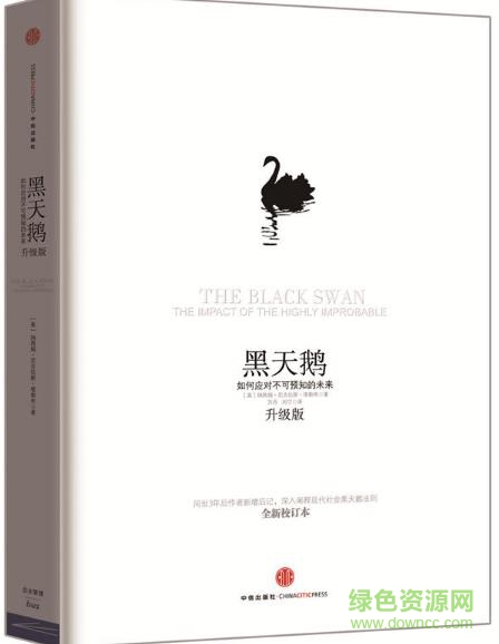 黑天鵝pdf