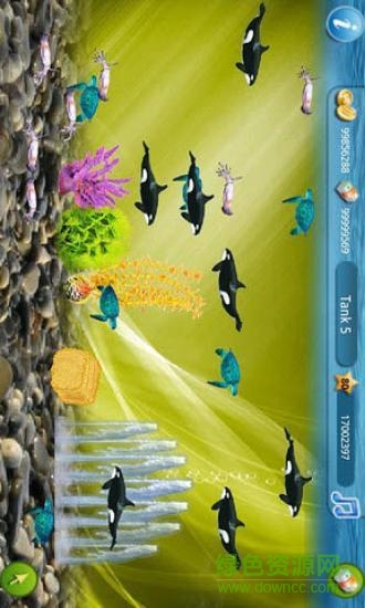 歡樂(lè)水族箱游戲