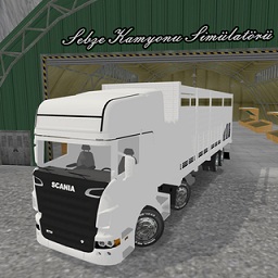 真實(shí)運(yùn)輸模擬