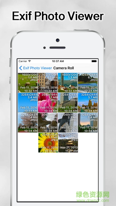 Exif照片查看器app(Exif Viewer) v1.6 安卓版 0
