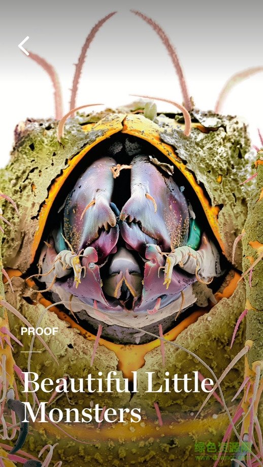 國家地理視角nat geo view v1.0 安卓版 1