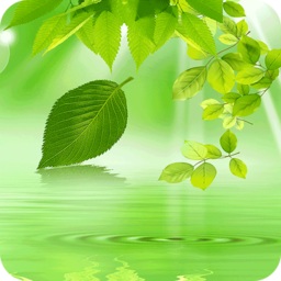 林區(qū)黨建手機(jī)版