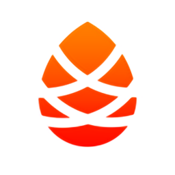 松子中醫(yī)(醫(yī)療學(xué)習(xí))