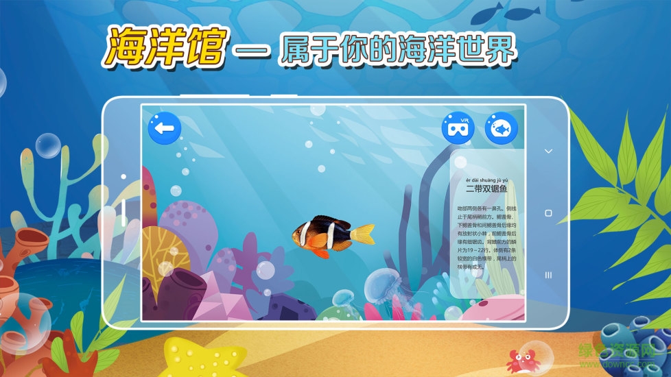 繽紛的魚(yú)手機(jī)版(海洋魚(yú)類(lèi)百科) v1.0.4 安卓版 2