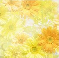 qq背景圖片大全