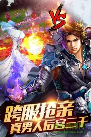 圣域傳說(shuō)游戲