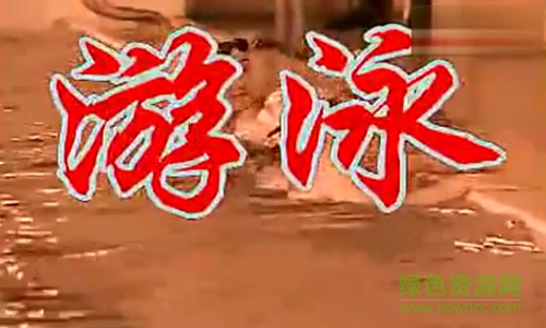 高清游泳教學視頻  0