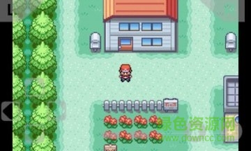 口袋妖怪葉綠正式版