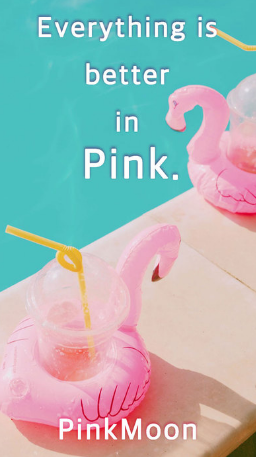 pinkMoon濾鏡相機 v1.0.1 安卓版 0