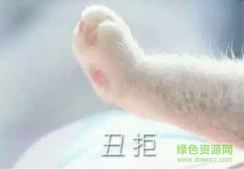丑拒貓爪圖