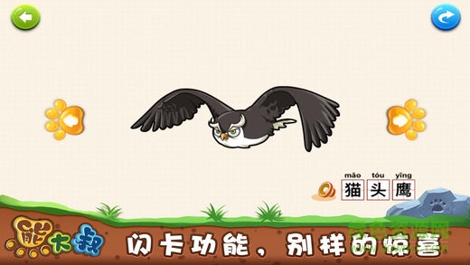 熊大叔寶寶拼圖識動物游戲 v1.9.8 安卓版 2