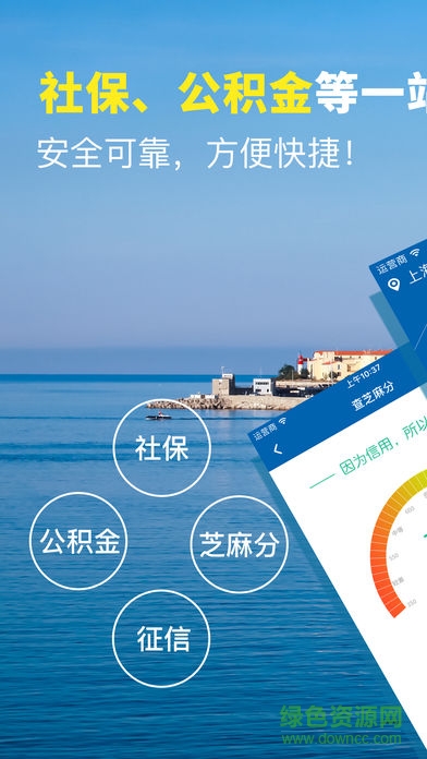 51查個人征信查詢app v1.0 安卓版 0