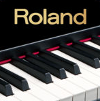 roland羅蘭鋼琴伴侶2 Piano Partner 2