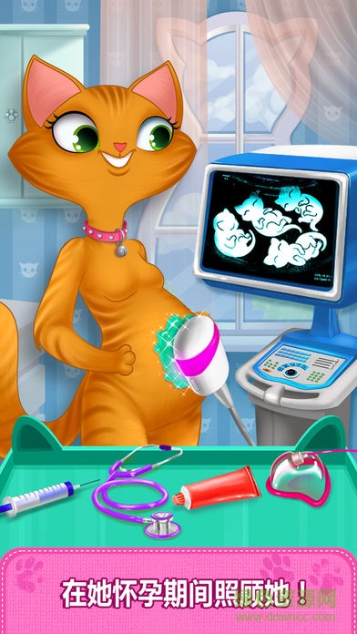 我的新生小貓游戲(My Little Cat) v1.2 安卓版 1