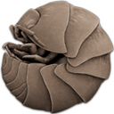 keka for mac中文版(mac解壓軟件)