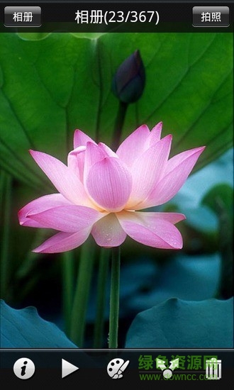 圖丫丫在線圖片處理軟件