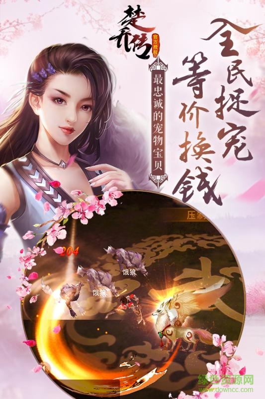 楚喬傳官方正版果盤(pán)版本