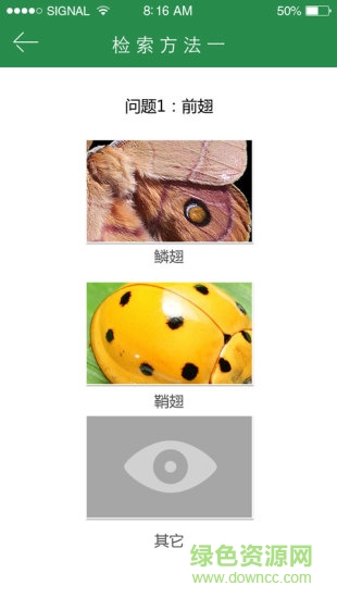 上海昆蟲(拍照識別昆蟲軟件) v1.0 安卓版 3