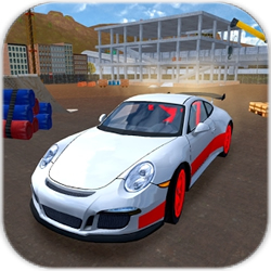 自由行駛(Racing Car Driving Simulator)