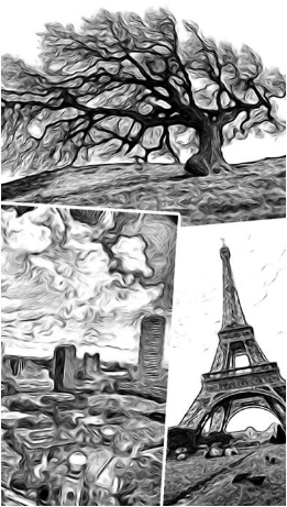 tooncamera軟件 v1.0.4 安卓免費(fèi)版 1