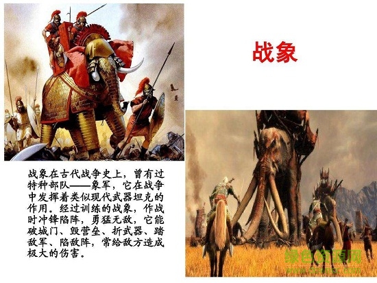 最后一頭戰(zhàn)象ppt完美版  0