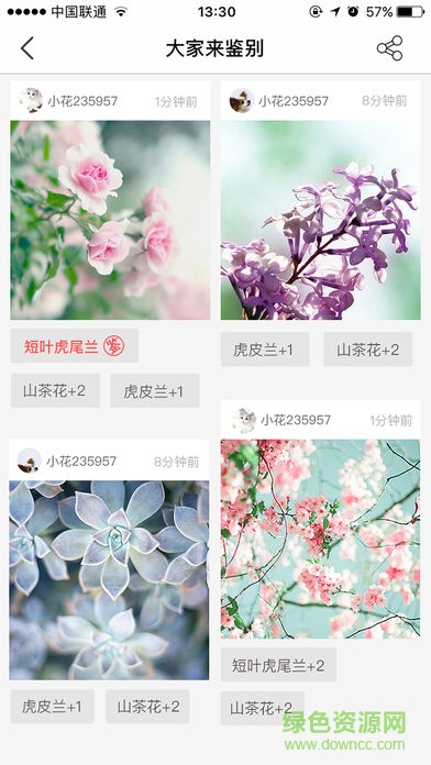 花伴侶電腦版 花伴侶識(shí)花軟件