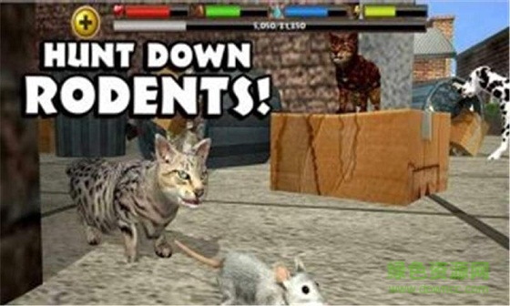 3D流浪貓模擬中文版 v2 安卓漢化版 0