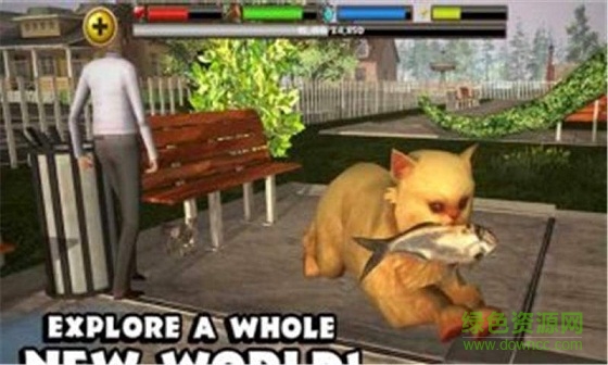 3D流浪貓模擬中文版 v2 安卓漢化版 1