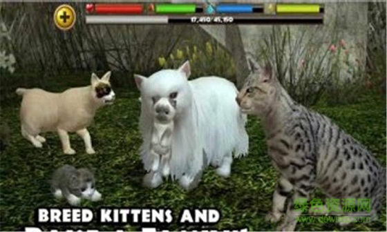 3D流浪貓模擬中文版 v2 安卓漢化版 2