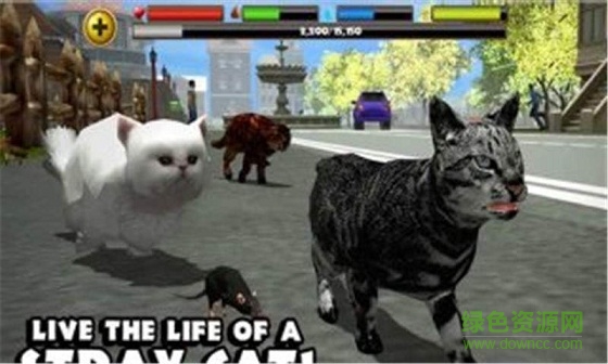 3D流浪貓模擬中文版 v2 安卓漢化版 3