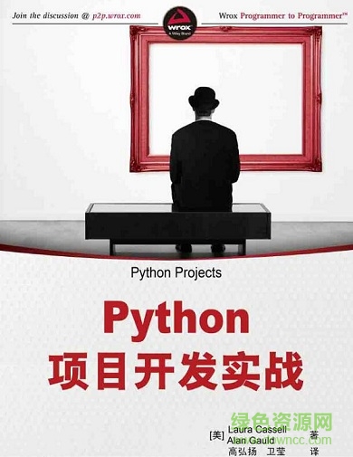 python项目开发实战 第2版 pdf