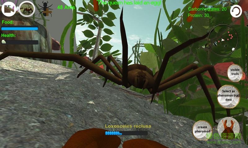 螞蟻模擬上帝版 v2.5.5 安卓手機(jī)版 2