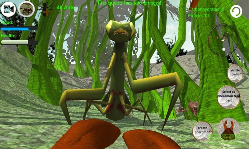 螞蟻模擬上帝版 v2.5.5 安卓手機(jī)版 3