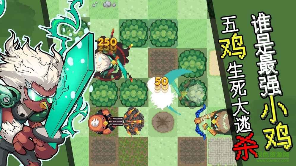 菜雞互啄最新游戲 v1.0 安卓版 0