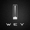 WEY智享互聯(lián)安卓系統(tǒng)