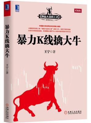 暴力k線擒大牛pdf