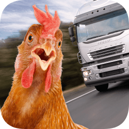 過(guò)路雞步步驚心