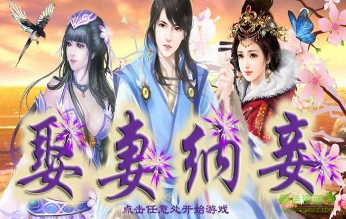 娶妻納妾完整版 v1.0 安卓版 0