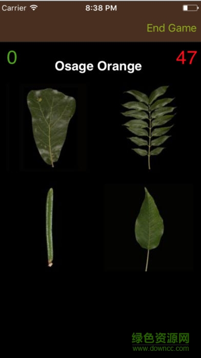 leafsnap中文版2017 v1.08 安卓版 3