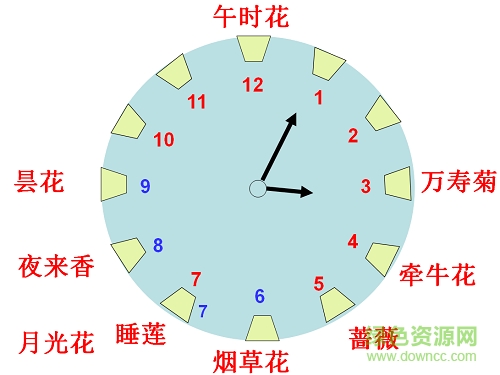 花鐘ppt優(yōu)質(zhì)課  0