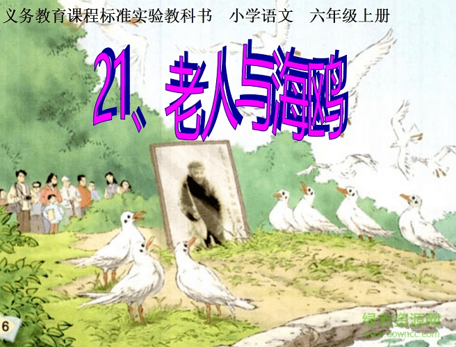 老人與海鷗ppt課件 完美版 0
