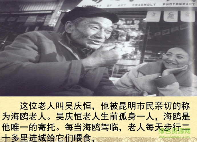 老人與海鷗ppt課件