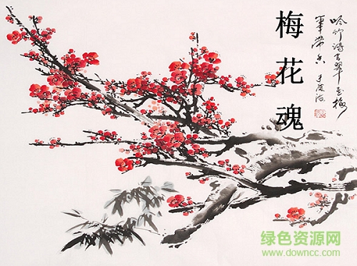 梅花魂ppt完美版免費(fèi)  0