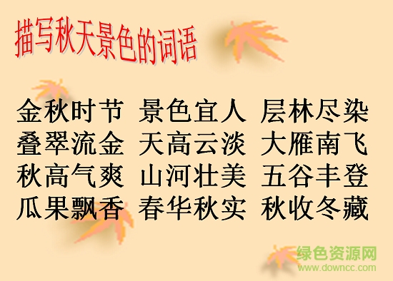 秋天的雨ppt課件